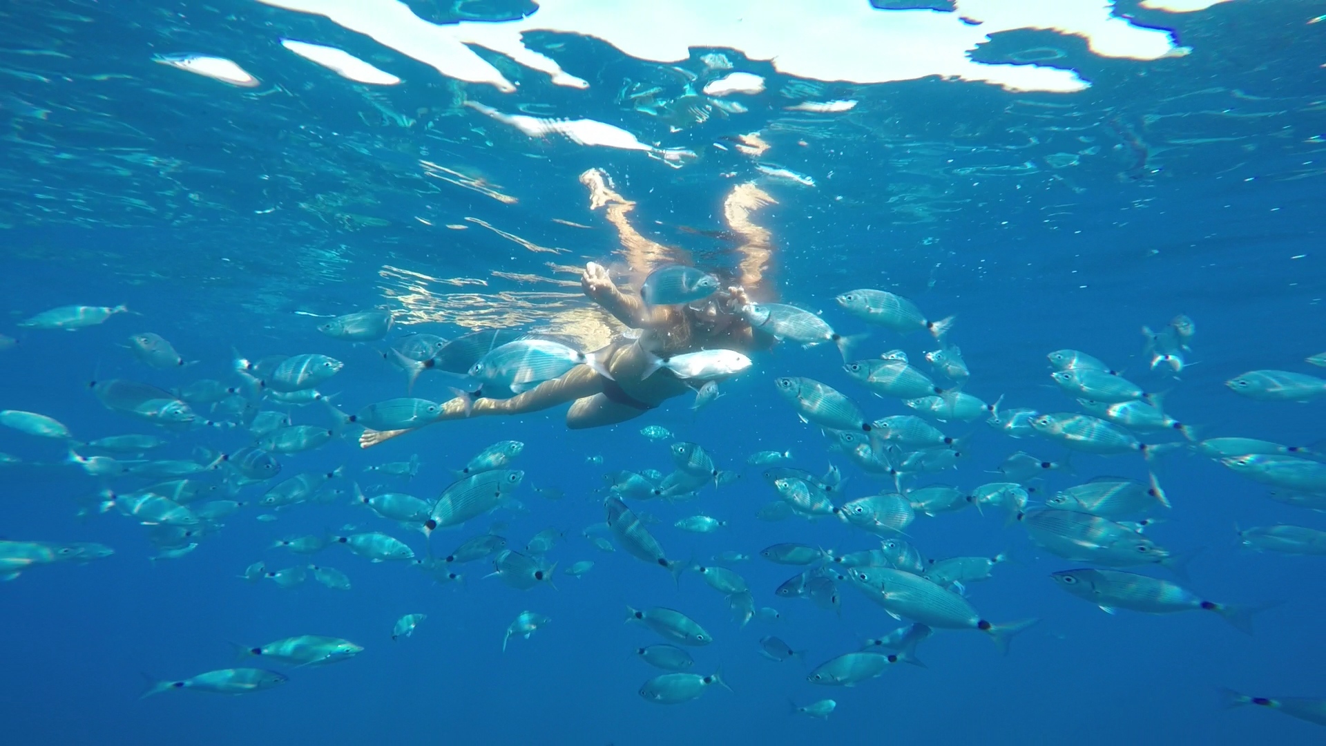 Spiaggia De Le Ghiaie Archivi I Love Elba