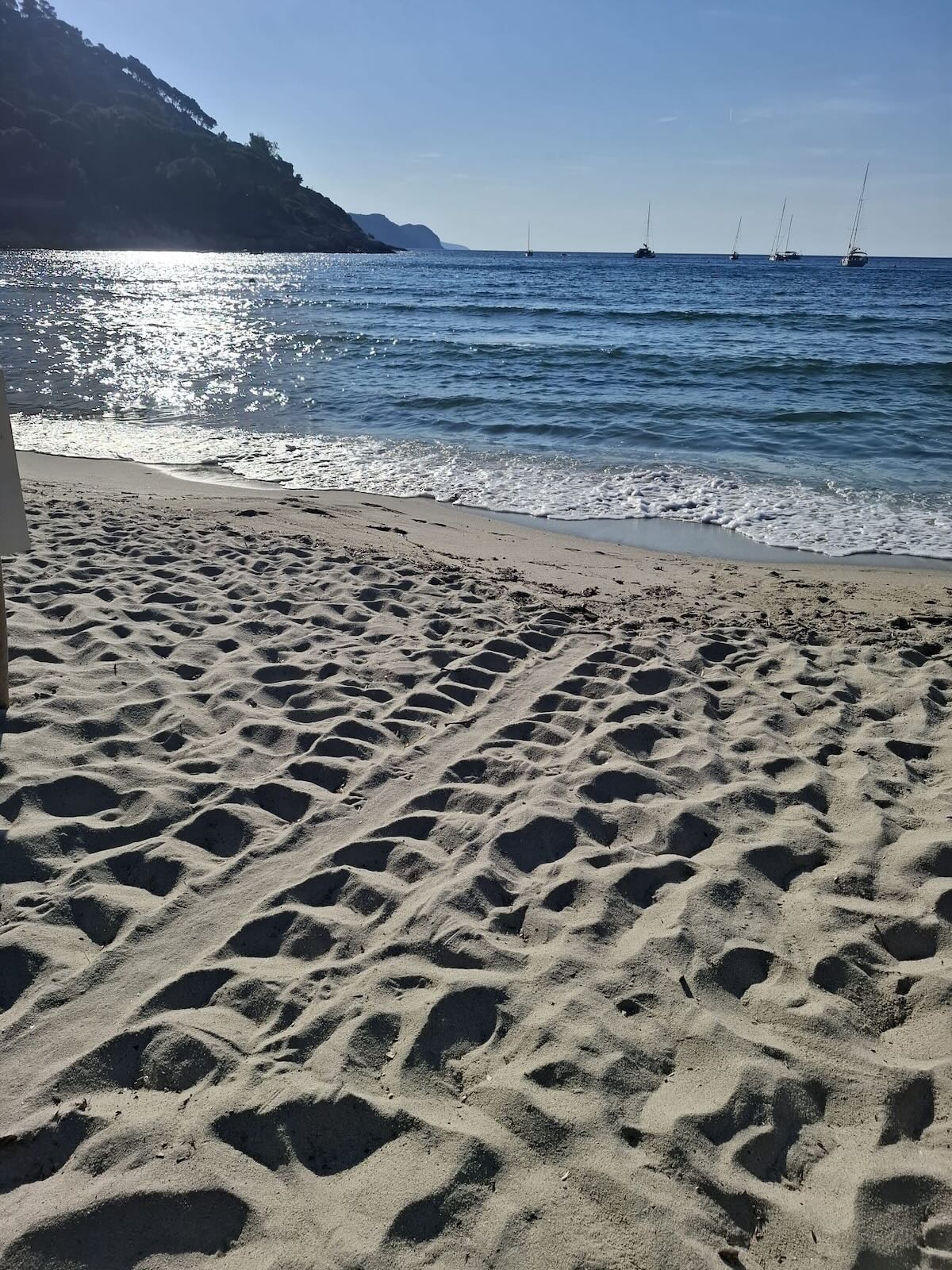 Tracce lasciate dalla tartaruga marina Caretta caretta sulla spiaggia di Fetovaia dopo la nidificazione